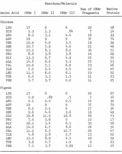 TABLE DI: Amino Acid Composition of Cyanogen Bromide Fragments. 