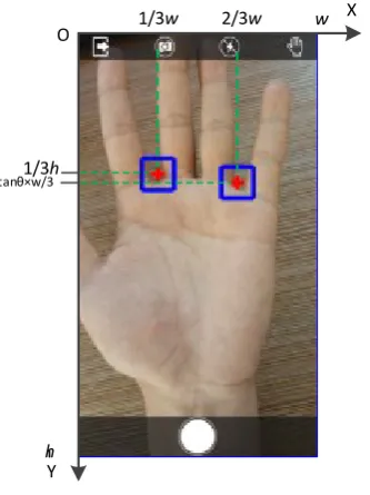 Fig. 3. Boundary point set. (a) Sub-image in restriction box, (b) Manual marking (11 points), (c) Piece-wise linear interpolation (31 points)