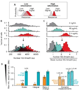 Figure 2.4: Fold-change response has higher information transduction capacity.features of the nuclear NG-Smad3 response