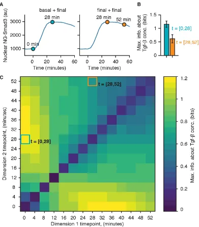 Figure 2.14: Mutual information computed with dynamic measurements. (Apoint combinations