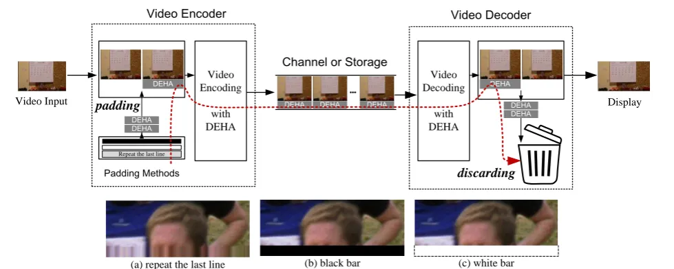 Fig. 1. DEHA encoding/decoding process and diverse encoding modes for DEHA 