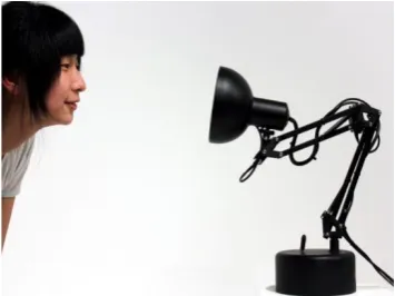 Fig. 1. Adam Ben-dror, Pinokio,2012[4]  