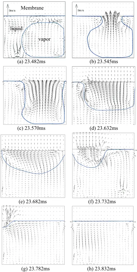 Fig. 6 Velocity field of a typical bubble-venting process. The cross section of the membrane-channel assembly is shown and blue curves indicate the vapor-liquid interface