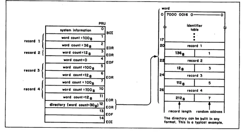 Figure 3-1. Sample Random Access File Format