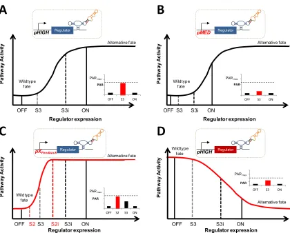 Figure 2.8. Optimal configuration of the molecular network diverter requires tuning via the selection 