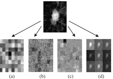 Fig. 1. Examples of mammogram images (a) Low-level, (b) mid-level, (c) high-level features, and (d) convolved image 