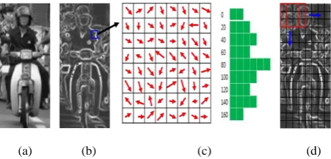 Fig. 1. The example of two wheelers HOG normalization.  (a) Original image (b) Calculated magnitude vector (c) cell and orientation binning expression (d) normalization by blocks for 3x3 cells 