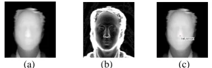 Fig. 1. Preprocessing to find the nose tip using ISM (a) Original image, (b) Sobel processed image (c) The result of nose tip finding  
