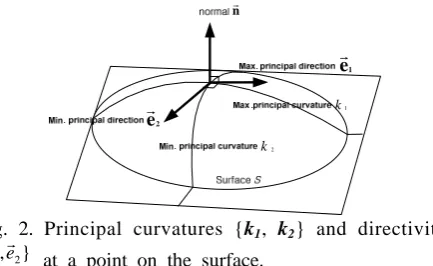 Fig. 2. Principal curvatures { k1, k2} and directivity {er  ,er}