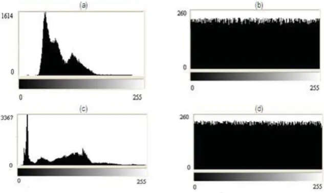 Fig. 2. Histograms of the original and encrypted images (a) Histogram of the Airport image (b) Histogram of encrypted image of the Airport image (c) Histogram of the Walter Cronkite image (d) Histogram of the encrypted image of Walter Cronkite ����