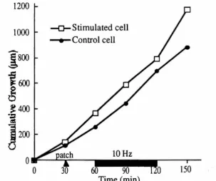 Figure 4.10 Figure Plot of the total outgrowth of all processes from the stimulated cell shown in 4.9 and the control cell shown in Figure 4.2, versus time