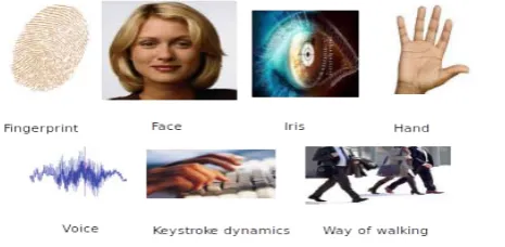 Fig. 2. Biometric templates  