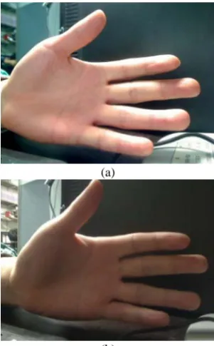Fig. 5. Captured image for color space comparison (a) With lighting environment (b) Without lighting environment 