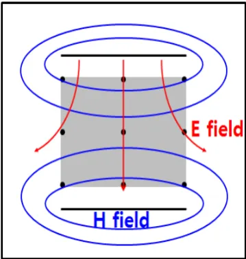 Fig. 4. Distribution of Electric and Magnetic fields inside TEM cell. 