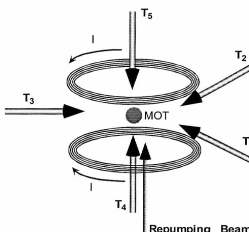 Figure 1.3: atoms are MOT setup: five trapping beams, T1 , ... , T5 , and one repumping beam responsible for cooling the atoms