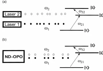 Figure 1.6: (a) Classical and (b) quantum excitation of a two-photon transition. 