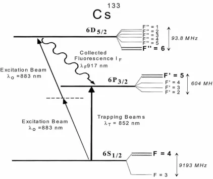 Figure 3.4: Hyperfine structure of atomic C s 133. 