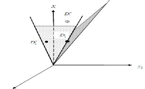 Figure 2: Model 4 corresponding to DMU  D1  with q = 2 is infeasible therefore, D1 is an anchor 