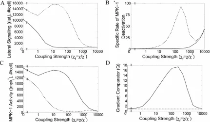 Figure 2.5. Factors contributing to coupling-mediated gradient amplification  deactivation is the rate of MPK-1performed at system yielded maximum 1The value of the gradient comparator in a coupled system * in cells 1 (solid) and 2 (dashed) is plotted as a