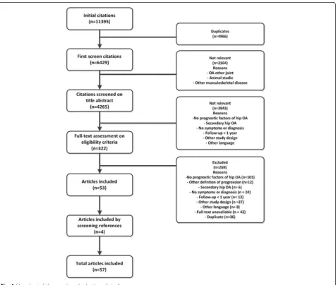 Fig. 1 Flowchart of the search and selection of studies