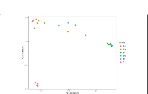Fig. 1 Alpha diversity boxplot of all sugar beet and soil samples. Bc: sugar beet tuber of continuous cropping; Bn:sugar beet tuber of non-continuous cropping; Sc: soil of Bc; Sn: soil of Bn; Sr: rhizosphere soil of Bn; S: seeds of sugar beet