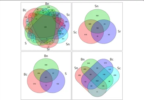 Fig. 3 Venn diagram of OTUs in all sugar beet and soil samples. Bc: sugar beet tuber of continuous cropping; Bn:sugar beet tuber of non-continuous cropping; Sc: soil of Bc; Sn: soil of Bn; Sr: rhizosphere soil of Bn; S: seeds of sugar beet