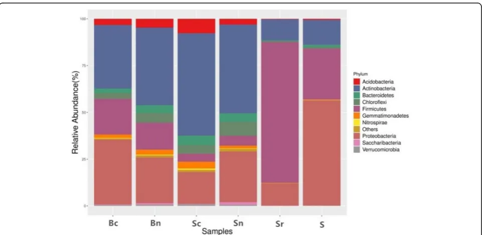 Fig. 4 Relative abundance at phylum level in each sample. Three internal averages of each group were taken to get six columns of OTU tables.Combine the phylum-genera annotations in which each OTU represented the sequence, and the above table