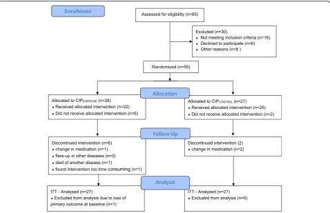Fig. 1 CONSORT flow diagram of the study
