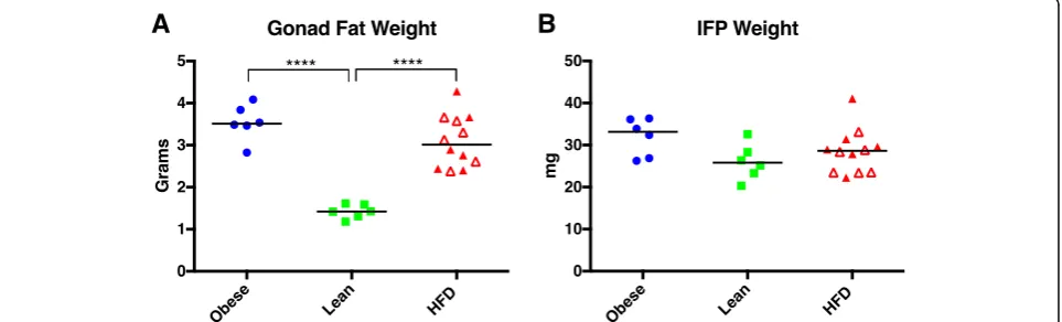 Fig. 1 Total body weight (a) and tibial length (b) in obese, lean, and HFD groups. Black line represents mean value