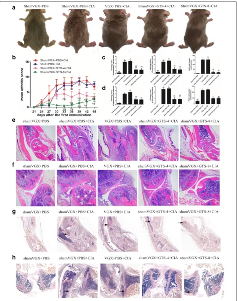 Fig. 1 (See legend on next page.)