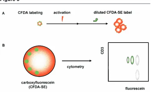 Figure 2Figure 3
