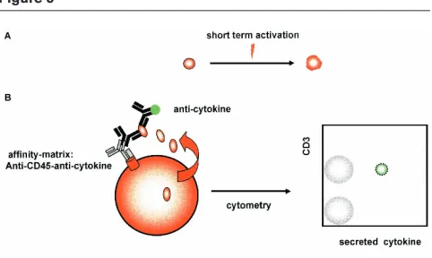 Figure 513.