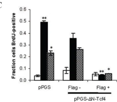 FIG. II-4.   Dominant-negative Tcf4 blocks DNA synthesis.  C, quantification of immunostaining reveals that ΔN-Tcf4 completely inhibits BrdU incorporation in MCF-10A cells