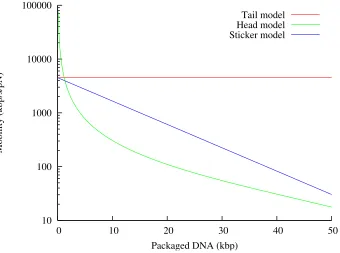 Figure 2.5: Plots of the mobility µ==v /Fof DNA during the translocation process, under three differentmodels, as a function of the amount of DNA within the λcapsid