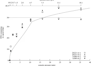 Figure 3.5: DNA remaining in the capsid, plotted as a function of the external inhibiting osmotic pressure,forgraph shows that all data points fall approximately on a single curve below 25%(w/w) PEG
