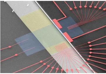Figure 1-2. A false-colored scanning electron micrograph of a molecular electronic memory circuit fabricated from [2]rotaxane molecular materials and SNAP-fabricated silicon and titanium nanowires