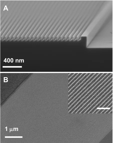 Figure 2-2. Scanning electron microscope (SEM)images of SNAP nanowire fabrication. Ashowing the AlPartially etched GaAs/Al