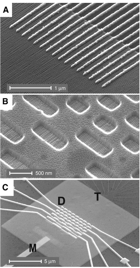 Figure 3-5. HfOdielectric and patterning of lithographically-defined windows. Note that once the tops of the underlying Si NWs were exposed, the CFrefers to test electrodes