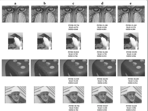 Fig. 7 The visual results of some images by using the standard NL-means and the proposed IPNLM methods: column (a) original images; column(b) noisy images; column (c) denoised images by standard NL-means; column (d) denoised images by IPNLM Threshold1 with optimal paramaters; andcolumn (e) denoised images by IPNLM Threshold2 with optimal parameters