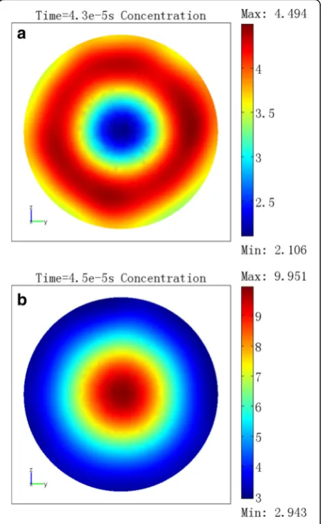 Fig. 3 Concentration distribution. a t = 4.3e−5 s, section xoyconcentration distribution