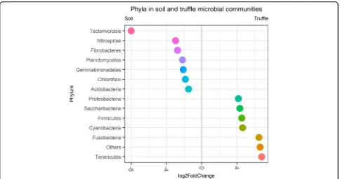 Fig. 3 Differentially abundant phyla in soil (on the left) and truffle (on the right) microbial communities