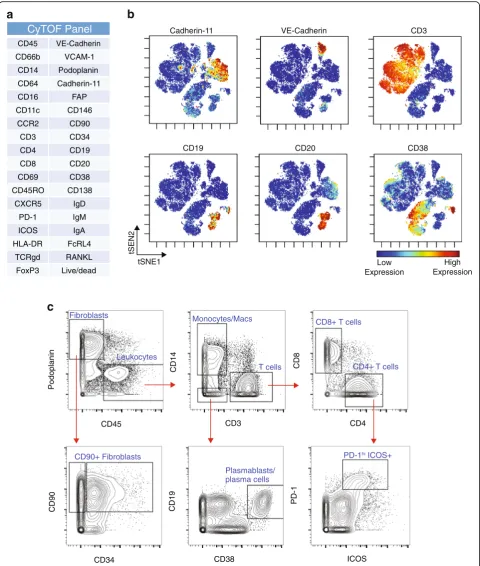 Fig. 4 Mass cytometry analysis of dissociated synovial tissue reveals synovial cell heterogeneity via surface marker detection