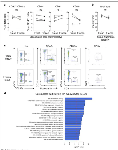 Fig. 3 (See legend on next page.)