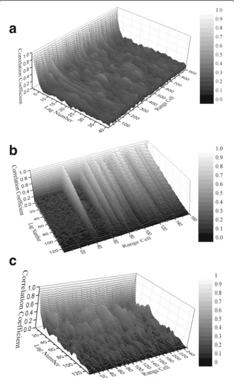 Fig. 2 Autocorrelation function of the recorded data samples: a Seaclutter. b target 1
