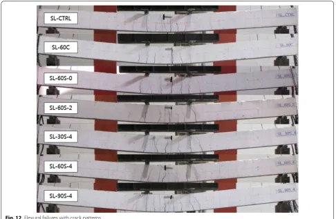 Fig. 12 Flexural failures with crack patterns.