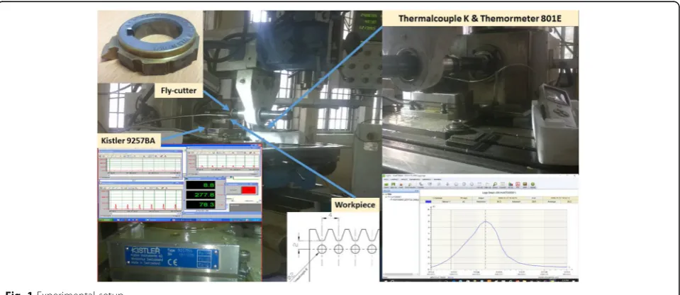 Fig. 1 Experimental setup