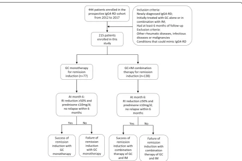 Fig. 1 Flow scheme of patient enrollment, grouping according to treatment and assessment of treatment outcomes