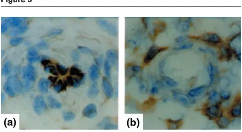 Figure 3Figure 4