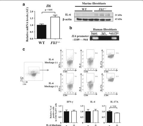 Fig. 4 Fli1interleukin (IL)-6 production.+/− dermal fibroblasts may modestly and partially contribute to the induction of T helper type 17 cell (Th17)-like regulatory T cells (Tregs) by a Evaluation of IL-6 expression in dermal fibroblasts isolated from wi