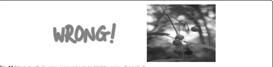 Fig. 12 Attacked with Gaussian noise and extracted hidden image (Example 2)